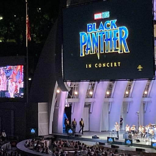 Louisiana Philharmonic Orchestra: Black Panther In Concert