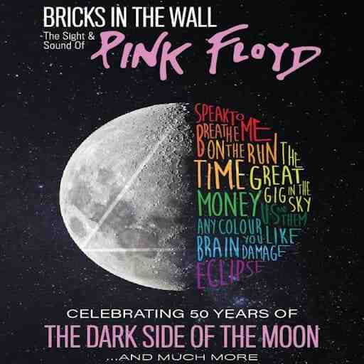 Bricks In The Wall - Pink Floyd Tribute